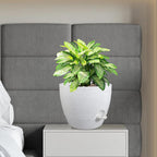 12 inch Large Self Watering Pots, Plant Pots - Image 7