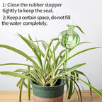 Self Watering Planter Insert. Plant Watering Devices. 3-Pack Cactus Plant - Image 4
