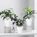 5 Pack 5 inch Self-Watering Pots, African Violets Planter - Image 9