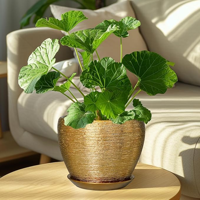 Ceramic Plant Pot 8 Inch - Image 4