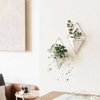 Umbra Trigg Hanging Planter Vase Wall Decor, Faux Plants, and More - Image 2