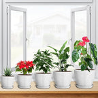 5 Pcs Plant pots, 7.5/6.5/5.7/4.9/4.1 inch Pots - Image 6