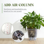 Self Watering Pots for Indoor Plants - Image 4