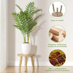 3-Pack Wood Plant Stands Indoor, Single Plant Stand - Image 4