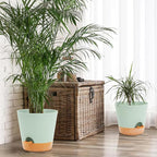GARDIFE 10/9/8 inch Plant pots, planters - Image 3