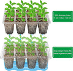 Bonviee 10 Packs Seed Starter Tray - Image 5