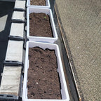 6 Pack 17 Inches Countryside Flower Box Planters, Plastic Vegetable Planters - Image 7