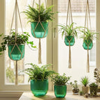 6 Pack Self Watering Hanging Planters Indoor Flower Pots Visible Water Level - Image 7