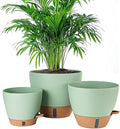 8/10/12 Inch Self Watering Pots by Fielda