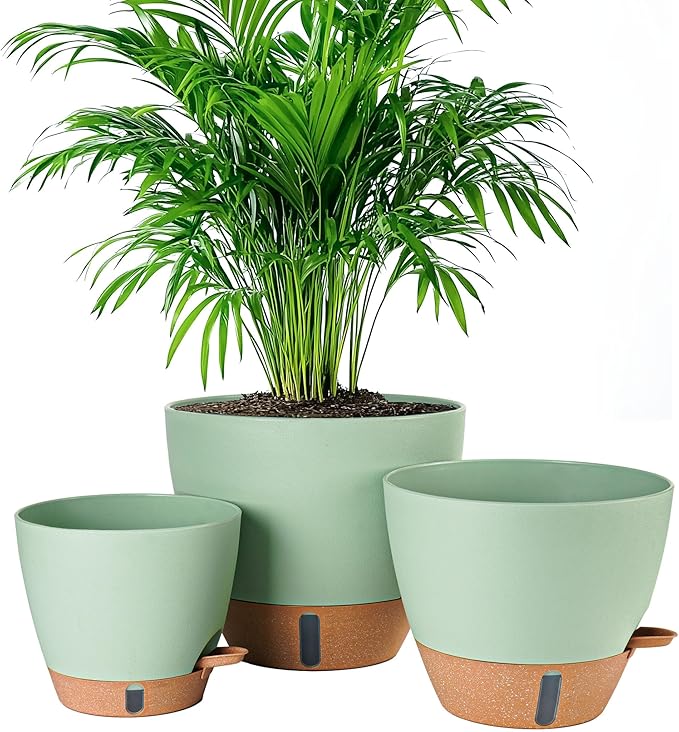 8/10/12 Inch Self Watering Pots by Fielda
