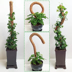 2 Pack 25" Moss Pole, Bendable Moss Pole - Image 6