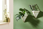Umbra Trigg Hanging Planter Vase Wall Decor, Faux Plants, and More - Image 17