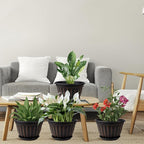 FGstyle 10 Inch Plants Pot, 4 Pack Flower Pots, Planters Pot - Image 6
