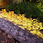 Butterfly Flower Birthday Gifts - Image 7