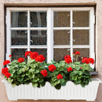 6 Packs 27 Inch Window Flower Box Extra Large Window Sill Herb Garden Long - Image 2