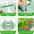Iceyyyy 5 Pack Strawberry Plant Support - Image 4