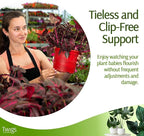 Mini Twigs Plant Support Stakes - Image 3