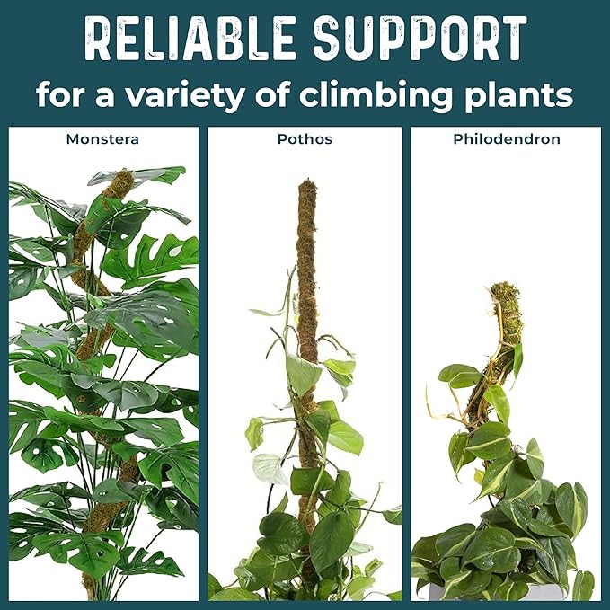 2 Pack 42'' Bendable Moss Pole Monstera Plant Support - Image 5