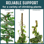 2 Pack 42'' Bendable Moss Pole Monstera Plant Support - Image 5