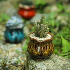 Cute Ceramic Succulent Planters, Garden Pots - Image 4