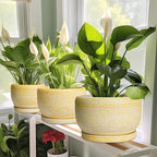 SQOWL Ceramic Planters for Indoor Plants - Image 6