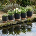 montresor 5-Pack Self-Watering Plastic Plant Pots 5/5.5/6/6.5/7 Inch– Black - Image 9