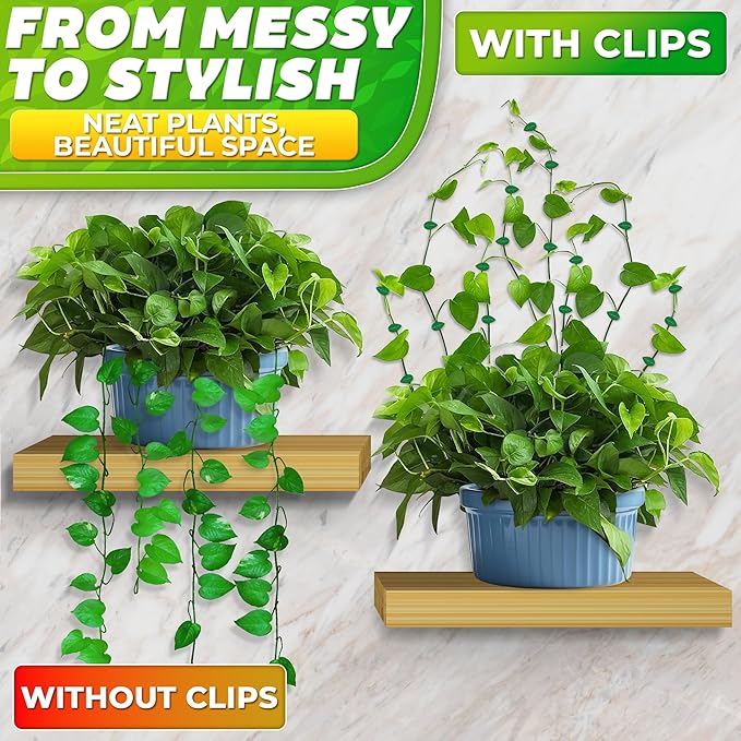 60Pcs Plant Climbing Wall Fixture Clips - Image 7