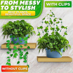 60Pcs Plant Climbing Wall Fixture Clips - Image 7