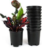 Wholesale Bulk Nursery Pot 4 Inch Black Plastic Planters 30-Pack 0.25 Gallon by CottaPlanters