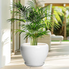 Ceramic Pot for Plants - Image 4