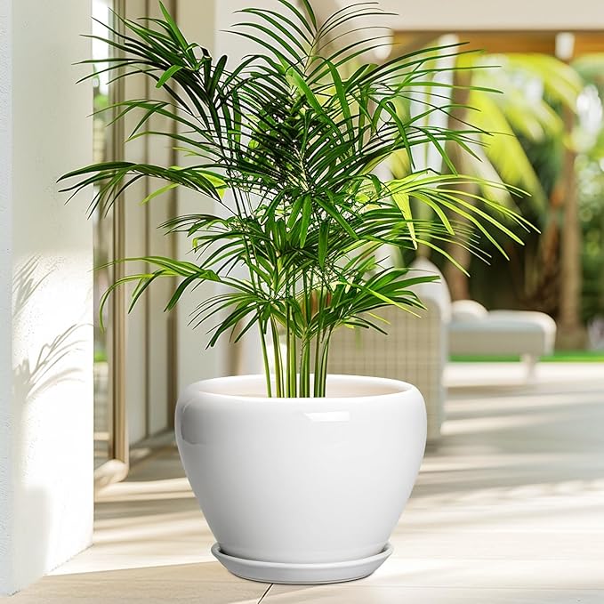 Ceramic Pot for Plants - Image 4