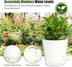 Plant Pots 6 Inch Self Watering Pots, 6 Pack Plastic Planters - Image 7