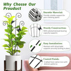 4 Pack 30 InchTaller Plant Trellis - Image 4
