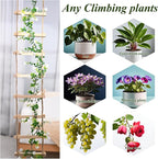 Sturdy Climbing Plants Trellis - Image 7