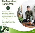 Mini Twigs Plant Support Stakes - Image 4