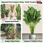 10-Pack Adjustable Height Snake Plant Support Stakes- Sturdy, Rust-Resistant - Image 7