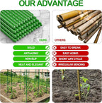 WAENLIR Garden Stakes 30 inch 2.5ft Sturdy Tomato Stakes, Plant Stakes - Image 6
