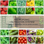 Hydroponics Tower Indoor Growing System Vertical Garden Planter Indoor Smart - Image 5