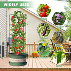 MQUPIN Tomato Cages, 4 Packs Square Tomato Cage - Image 7