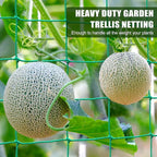 Garden Trellis Netting - Image 5
