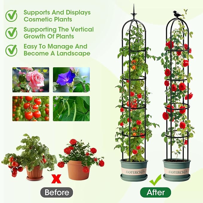 2026 Updated Garden Obelisk Trellis - Image 3