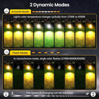 LED Landscape Lighting Kit Landscaping Lights - Image 3