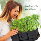 volila Herb Planter Indoor - Image 4