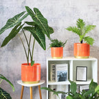 Gepege Peach Indoor Plant Pots for Plants, Ceramic Planter - Image 7