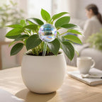 Large Extra-Thick Clear Glass Plant Watering Globes, Rainbow Gradient Self - Image 2
