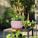 SQOWL Ceramic Planters for Indoor Plants - Image 5