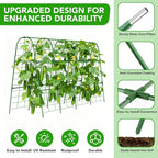 Cucumber Trellis for Raised Bed, U-Shape Garden Trellis for Climbing Plants - Image 2