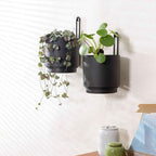 2 Pcs Wall Mounted Hanging Planter Vase - Image 4