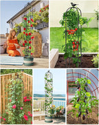 6.2ft Garden Obelisk Trellis for Climbing Plants Rustproof Metal Pipe - Image 8