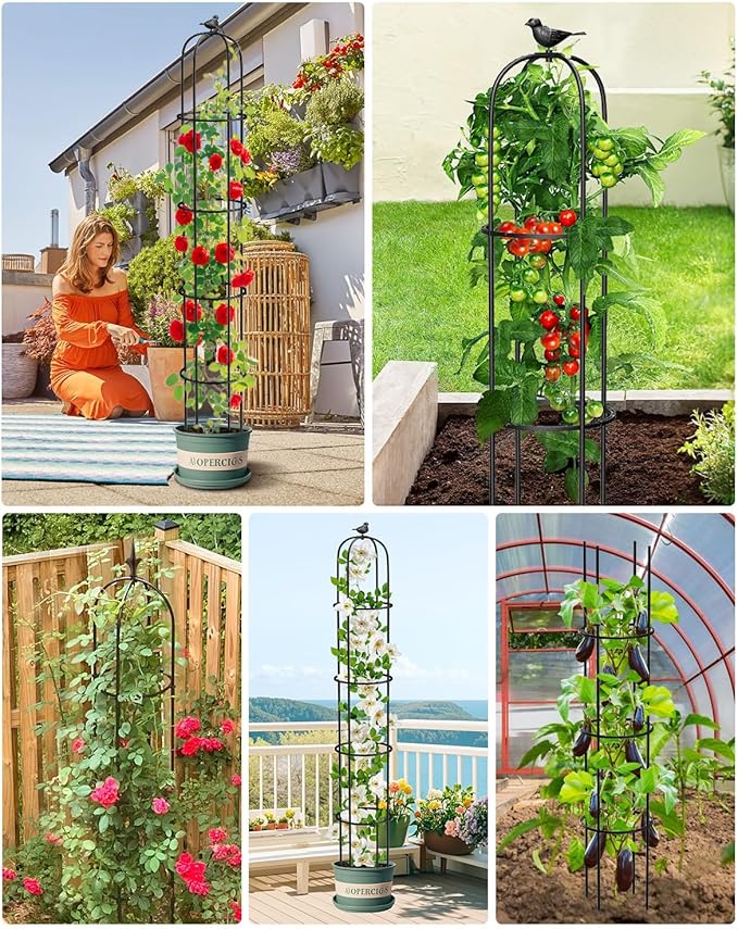6.2ft Garden Obelisk Trellis for Climbing Plants Rustproof Metal Pipe - Image 8